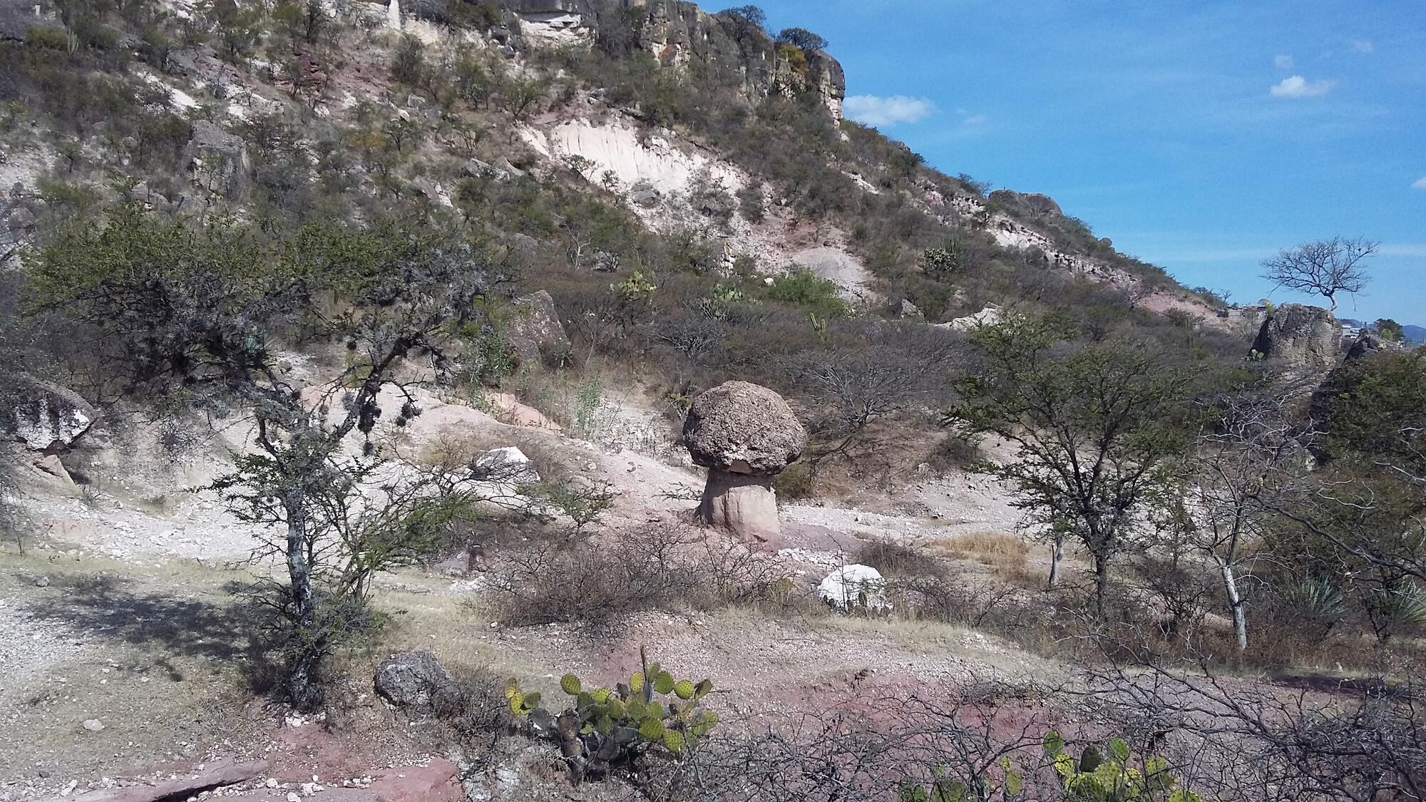 Piedra hongo
